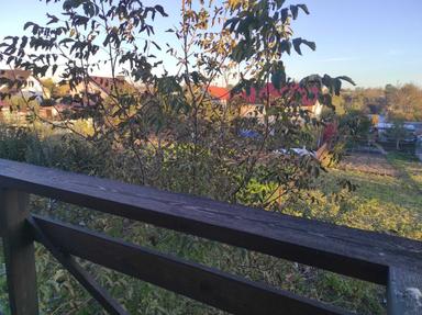 House by the address st. Magistratskaya (area 195 m²) - Atlanta.ua - photo 40