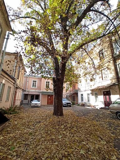 2-комнатная квартира по адресу Куликово поле пл. (площадь 60 м²) - Atlanta.ua - фото 28