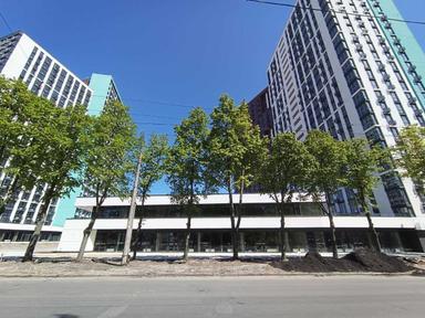 Комерційна нерухомість за адресою Європейського Союзу просп. (площа 106 м²) - Atlanta.ua - фото 10