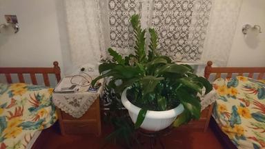 3-кімнатна квартира за адресою вул. Китобійна (площа 61 м²) - Atlanta.ua - фото 13