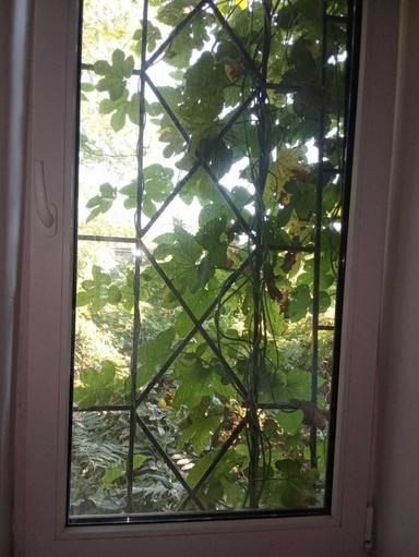 2-комнатная квартира по адресу ул. Бандеры Степана (площадь 37,7 м²) - Atlanta.ua - фото 31