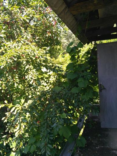 Дом по адресу Петефі Шандора пл. (площадь 70 м²) - Atlanta.ua - фото 23