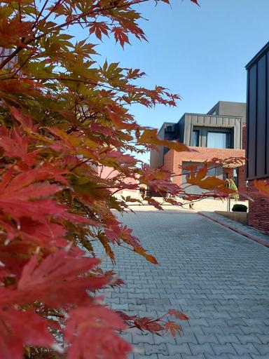 House by the address st. Kapelanska (area 120 m²) - Atlanta.ua - photo 8