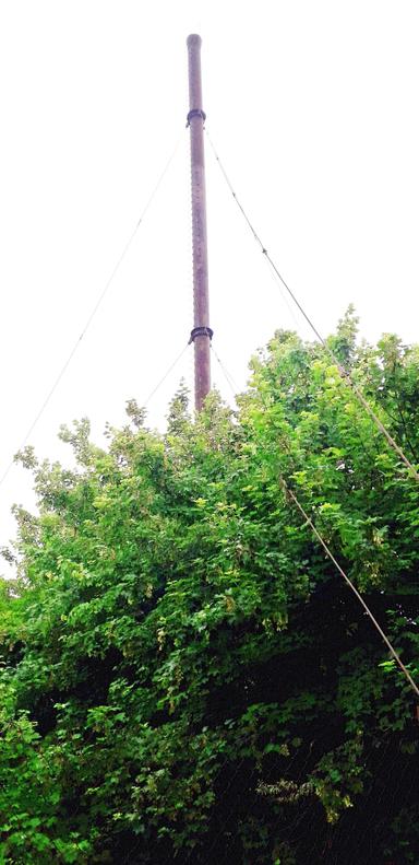 Коммерческая недвижимость по адресу Люстдорфская дор. (площадь 5284 м²) - Atlanta.ua - фото 19