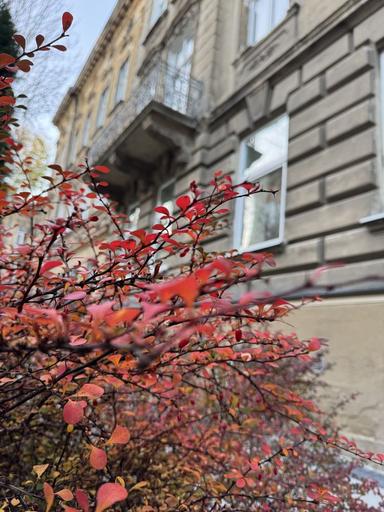 Многокомнатная квартира по адресу Верхратского И. Ул. (площадь 108 м²) - Atlanta.ua - фото 31