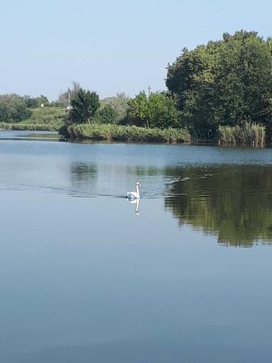 Дом по адресу (площадь 120 м²) - Atlanta.ua - фото 22