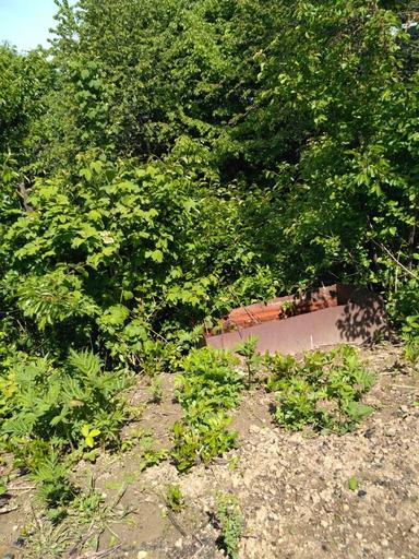 Дом по адресу Петефі Шандора пл. (площадь 70 м²) - Atlanta.ua - фото 15