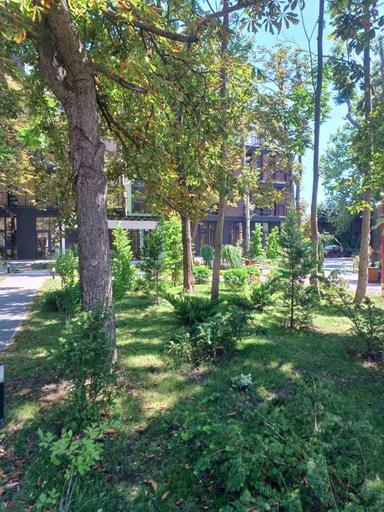 2-кімнатна квартира за адресою Фонтанська дор. (площа 45 м²) - Atlanta.ua - фото 44