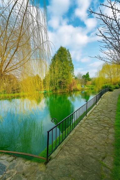 Будинок за адресою (площа 249 м²) - Atlanta.ua - фото 29