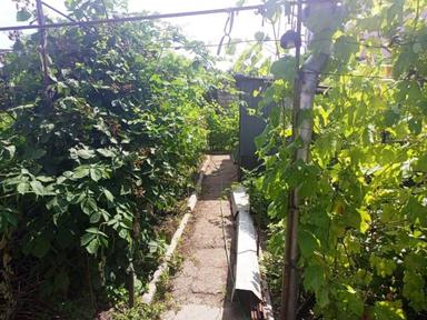 Дом по адресу Люстдорфская дор. (площадь 64,2 м²) - Atlanta.ua - фото 15