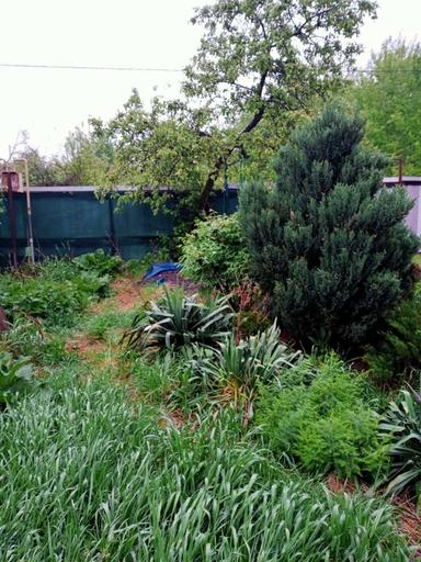 Будинок за адресою вул. Богдана Хмельницького (площа 274,5 м²) - Atlanta.ua - фото 36