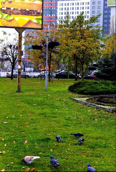 Комерційна нерухомість за адресою (площа 80 м²) - Atlanta.ua - фото 24