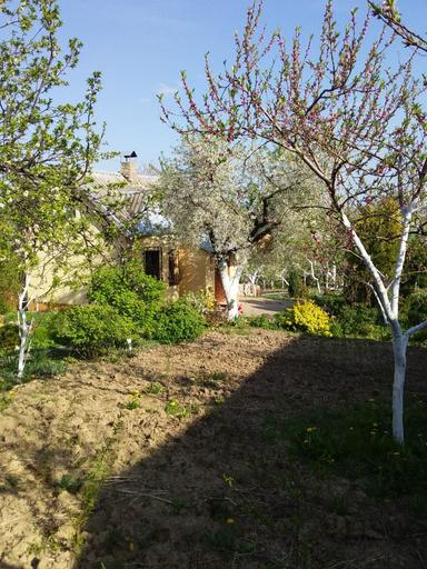 Дом по адресу (площадь 37 м²) - Atlanta.ua - фото 26