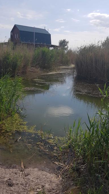 Будинок за адресою (площа 1 м²) - Atlanta.ua - фото 4