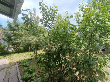 Будинок за адресою вул. Сполучна (площа 83 м²) - Atlanta.ua - фото 15