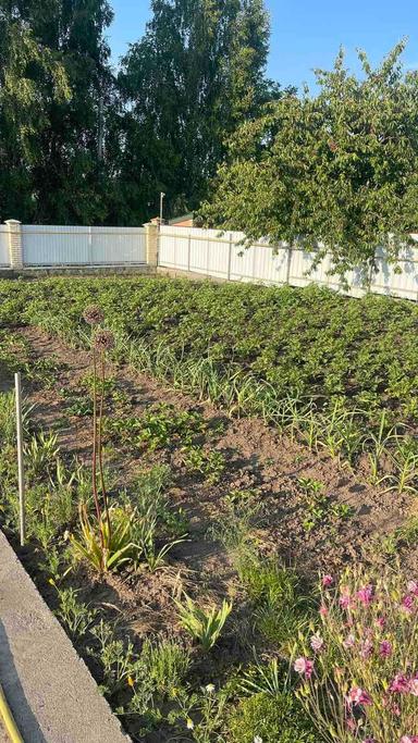 House by the address st. Lesi Ukrainki per (area 300 m²) - Atlanta.ua - photo 26