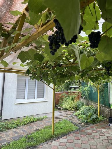 Будинок за адресою (площа 230 м²) - Atlanta.ua - фото 21