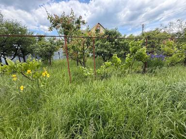 Дом по адресу Петефі Шандора пл. (площадь 259,8 м²) - Atlanta.ua - фото 38