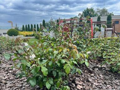 1-комнатная квартира по адресу Маячный пер. (площадь 30 м²) - Atlanta.ua - фото 38