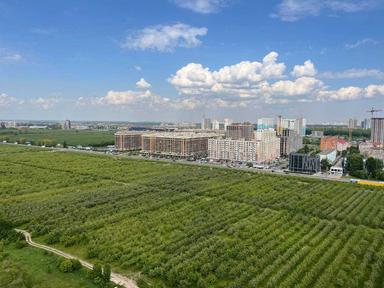 1-кімнатна квартира за адресою (площа 42 м²) - Atlanta.ua - фото 31