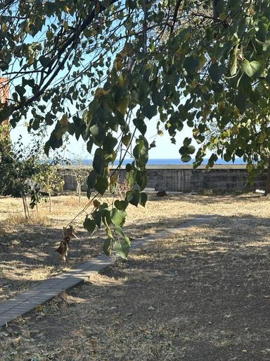 Будинок за адресою вул. Спортивна (площа 290 м²) - Atlanta.ua - фото 11