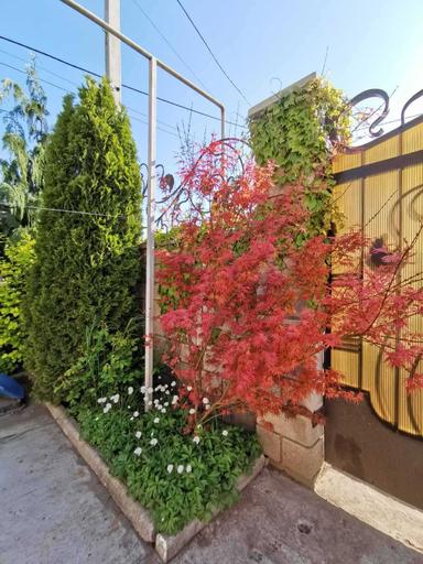 Будинок за адресою вул. Перемоги (площа 258 м²) - Atlanta.ua - фото 26