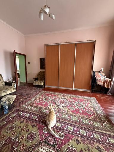 Будинок за адресою Петефі Шандора пл. (площа 84 м²) - Atlanta.ua - фото 21