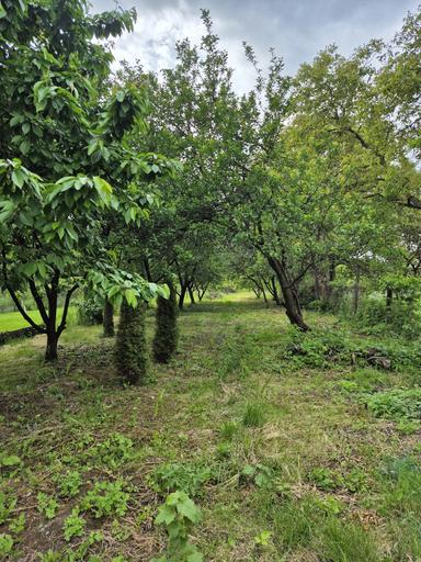 Дом по адресу Петефі Шандора пл. (площадь 61 м²) - Atlanta.ua - фото 25