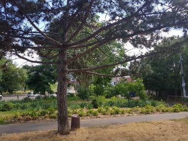 1-room apartment apartment by the address st. Kulikovo pole pl Oktyabrskoy revolyutsii pl (area 65 m²) - Atlanta.ua - photo 13