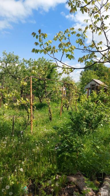 Дом по адресу (площадь 24 м²) - Atlanta.ua - фото 13