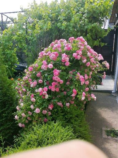 Дом по адресу ул. Победы (площадь 112 м²) - Atlanta.ua - фото 47