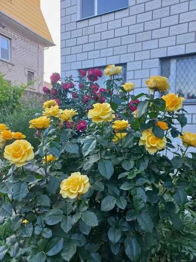 House by the address st. Kitoboynaya (area 180 m²) - Atlanta.ua - photo 26