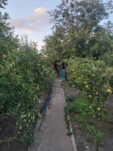 House by the address (area 80 m²) - Atlanta.ua - photo 17