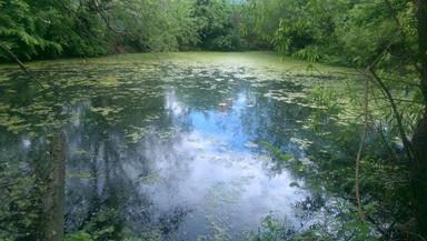 Дом по адресу ул. Хотинська (площадь 30 м²) - Atlanta.ua - фото 4