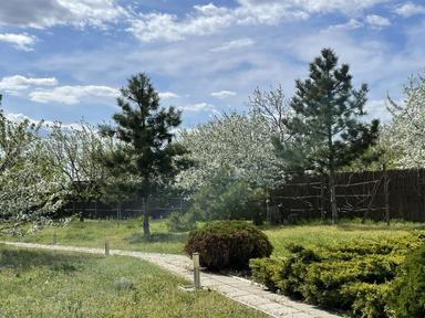 Дом по адресу (площадь 80 м²) - Atlanta.ua - фото 27