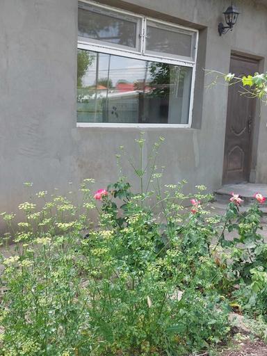 Дом по адресу ул. Покровский (площадь 180 м²) - Atlanta.ua - фото 13