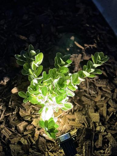 Дом по адресу ул. Капеланська (площадь 163 м²) - Atlanta.ua - фото 28