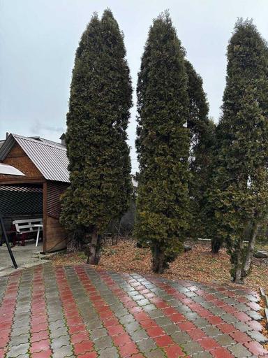 Дом по адресу ул. Китобойная (площадь 160 м²) - Atlanta.ua - фото 47