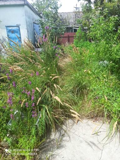 Дом по адресу (площадь 60 м²) - Atlanta.ua - фото 12