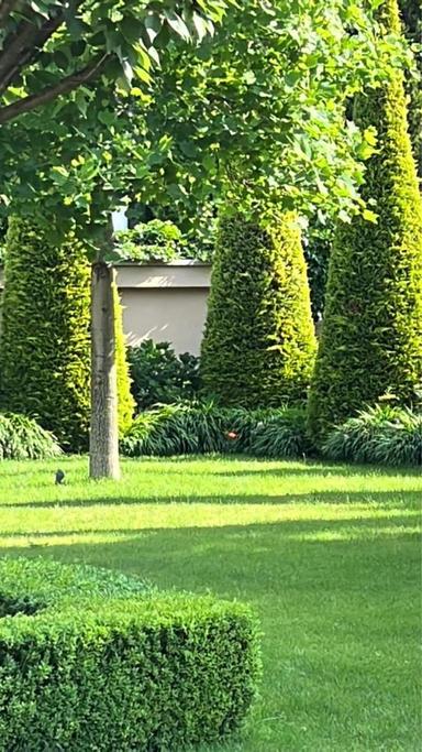 Дом по адресу ул. Спортивная (площадь 550 м²) - Atlanta.ua - фото 42