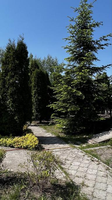 House by the address (area 600 m²) - Atlanta.ua - photo 25