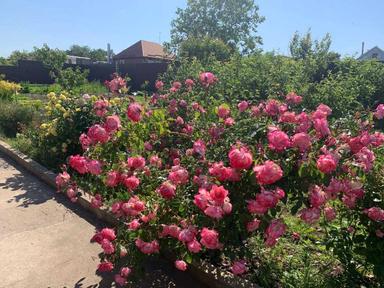 House by the address st. Lyustdorfskaya dor Chernomorskaya dor (area 98 m²) - Atlanta.ua - photo 42