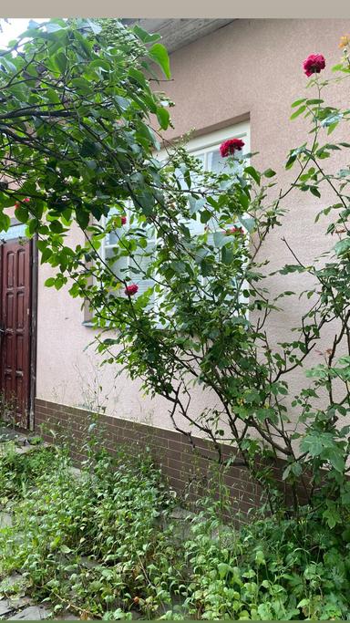 2-кімнатна квартира за адресою (площа 59,6 м²) - Atlanta.ua - фото 6