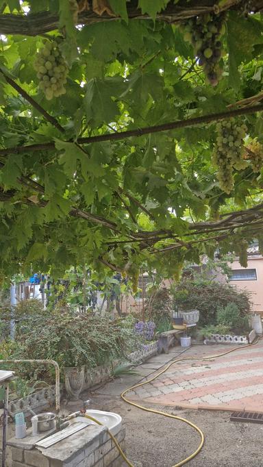 Дом по адресу (площадь 83 м²) - Atlanta.ua - фото 28