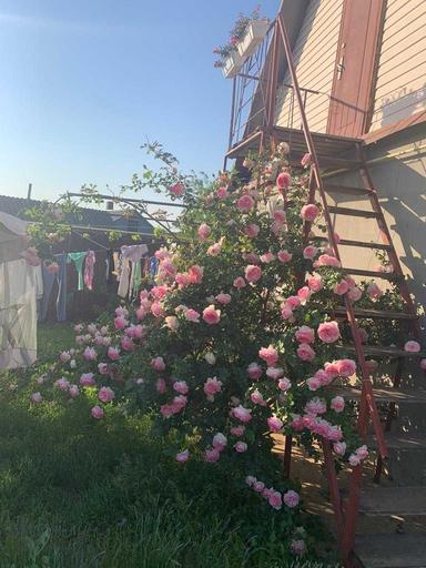 House by the address st. Lyustdorfskaya dor Chernomorskaya dor (area 98 m²) - Atlanta.ua - photo 46