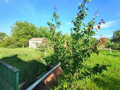 House by the address st. Magistratskaya (area 77 m²) - Atlanta.ua - photo 46