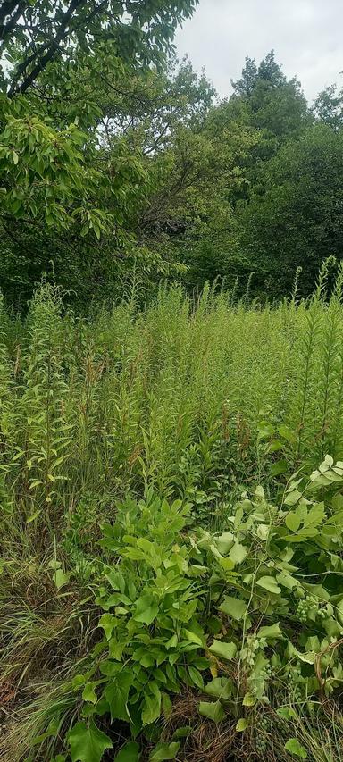 Дом по адресу ул. Таджицька (площадь 20 м²) - Atlanta.ua - фото 13