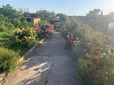 House by the address st. Lyustdorfskaya dor Chernomorskaya dor (area 98 m²) - Atlanta.ua - photo 44