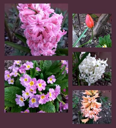 Дом по адресу ул. Загорская (площадь 110 м²) - Atlanta.ua - фото 38