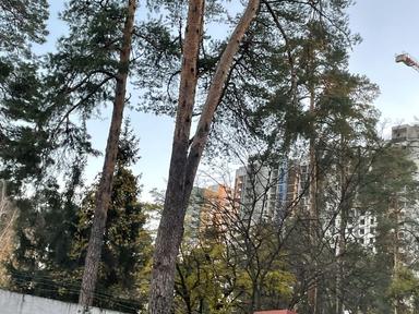 1-кімнатна квартира за адресою (площа 31 м²) - Atlanta.ua - фото 11